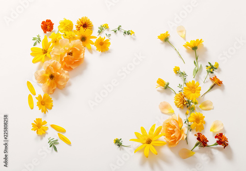 Fototapeta Naklejka Na Ścianę i Meble -  yellow and orange flowers on white background