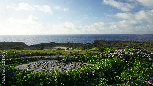 海側
