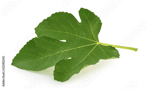 Fig leaf isolated on white background © azure