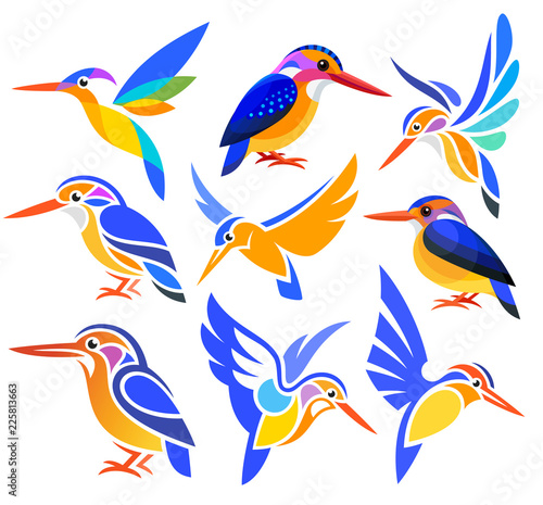 Obraz na plátne Set of Stylized Birds - African Pygmy Kingfisher in different styles