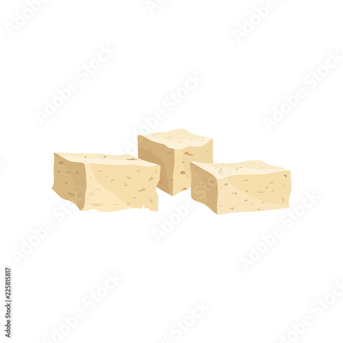 Tofu cheese, healthy diet food, vegan source of protein vector Illustration on a white background