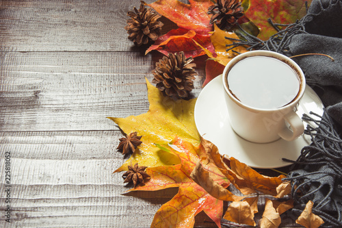 Autumn still life with cup of coffee,cone, cinnamon, warm scarf on wooden board. Copy space. Top view. photo