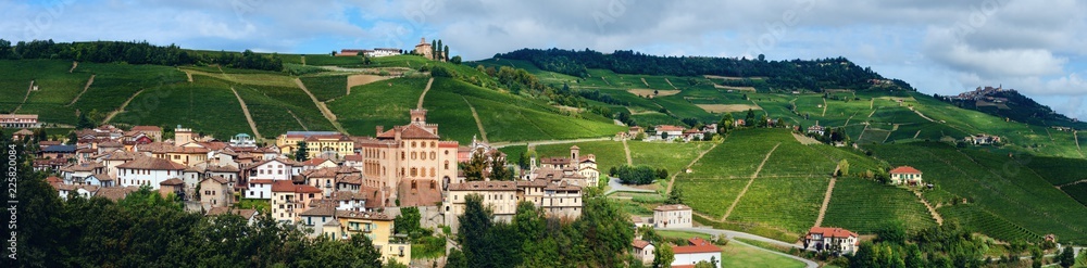 Panorama of Barolo (Piedmont, Italy) with the town, the medieval castle and the vineyards. Barolo is the main village of the Langhe wine district