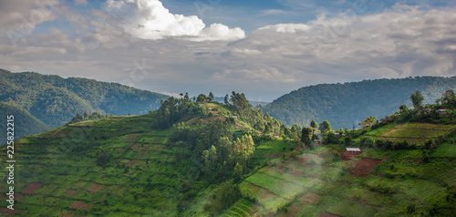 Landscape in southwestern Uganda, at the Bwindi Impenetrable Forest National Park, at the borders of Uganda, Congo and Rwanda. The Bwindi National Park is the home of the mountain gorillas. photo