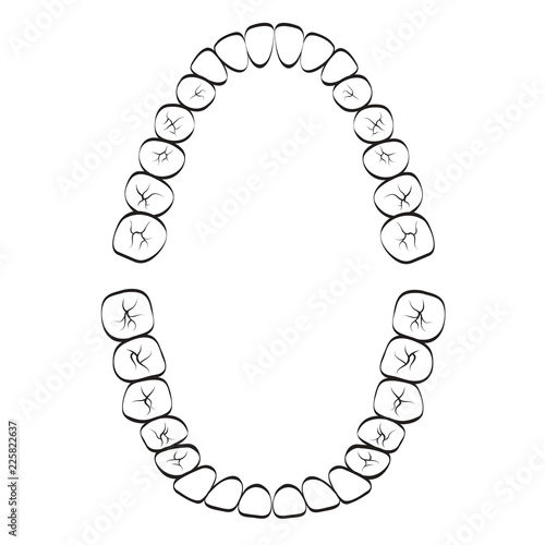 black and white set of teeth isolated on white background vector illustration