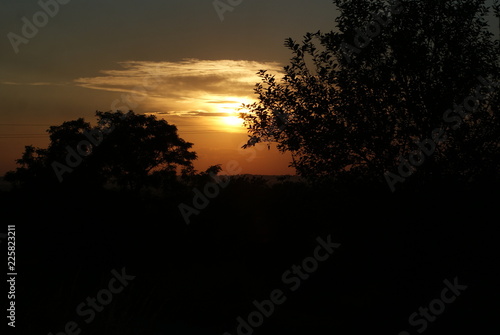 SONY DSC