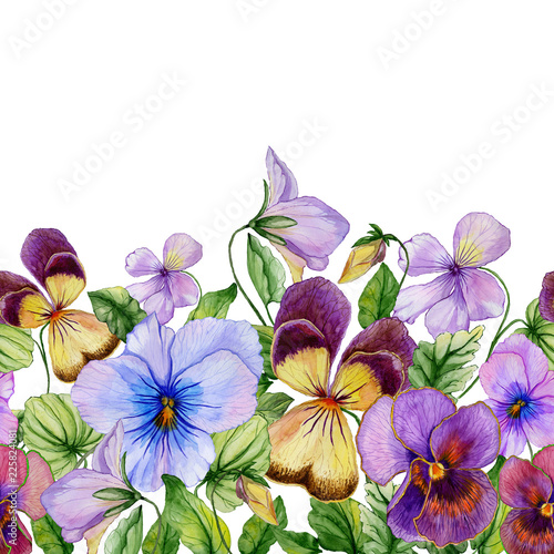 Beautiful vibrant violet flowers with green leaves on white background. Seaml...