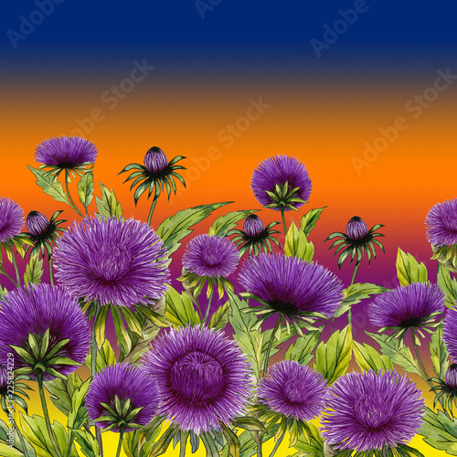 Beautiful purple aster flowers with green leaves on bright gradient backgroun...