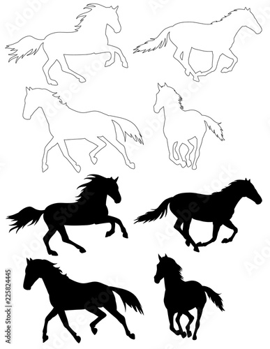 silhouette horse running, on white background