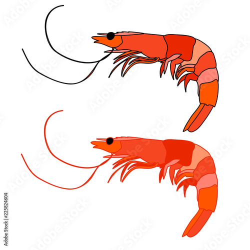  set food, sea, shrimp
