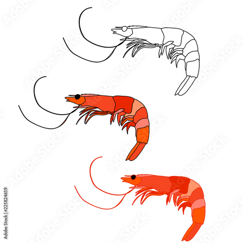  set food,  shrimp