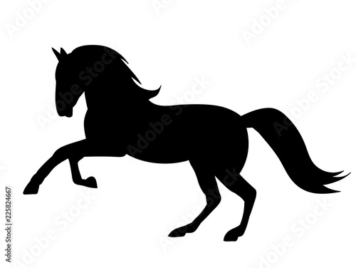silhouette horse running, on white background, icon, black