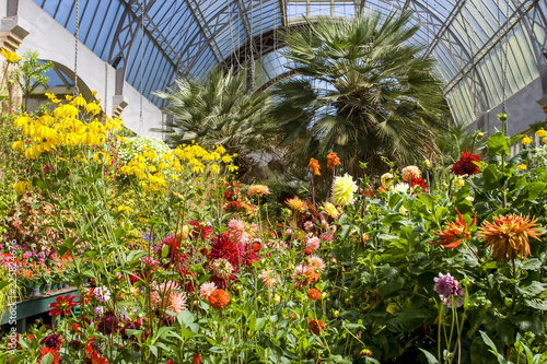 Billede på lærred Victorian conservatory with colorful flowers