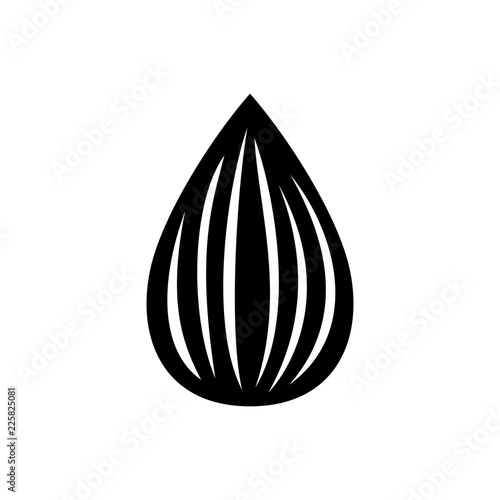 Fotografia Apricot kernel (seed)