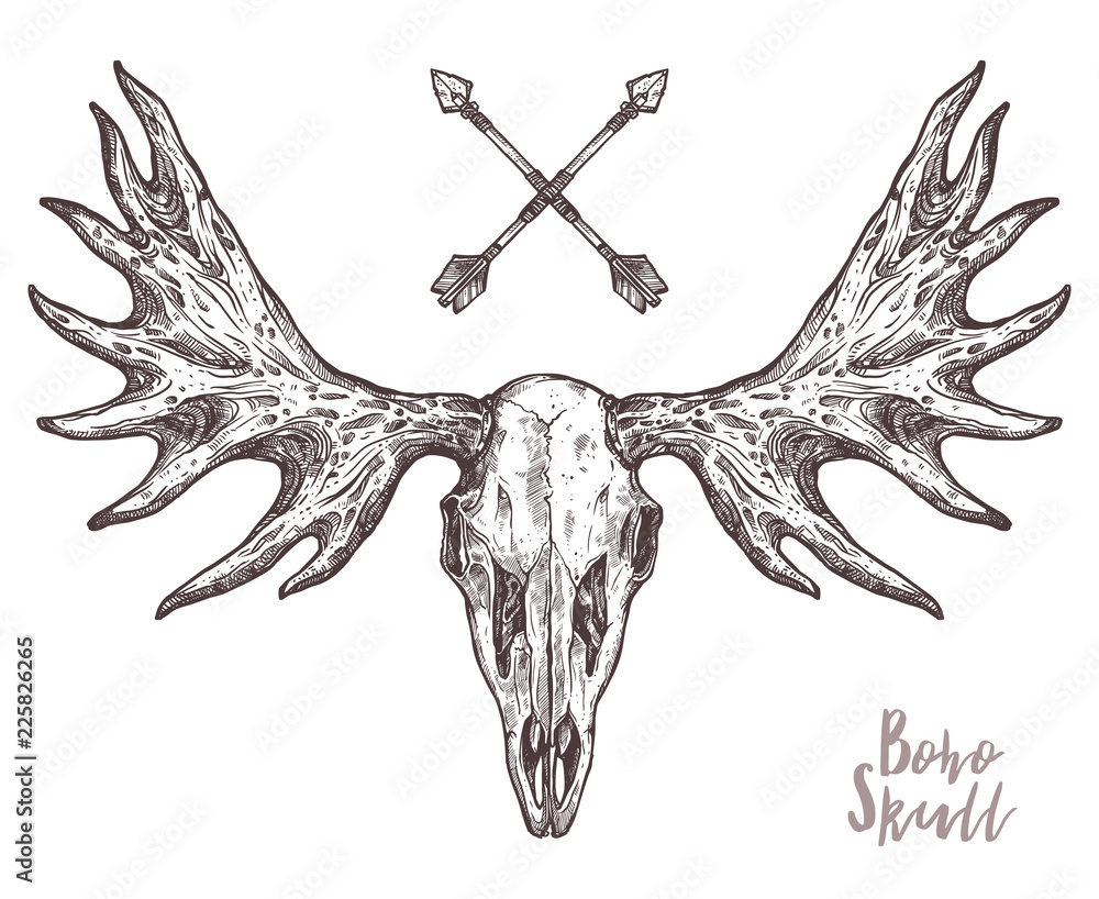 Sketch Of Elk Skull With Tribal Arrows. Boho And Hipster Hand Drawn