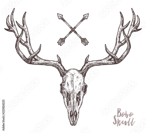 Sketch Of Hipster Deer Skull With Tribal Arrows. Boho Hand Drawn Illustration. Anatimical Drawing Of Skull With Horns