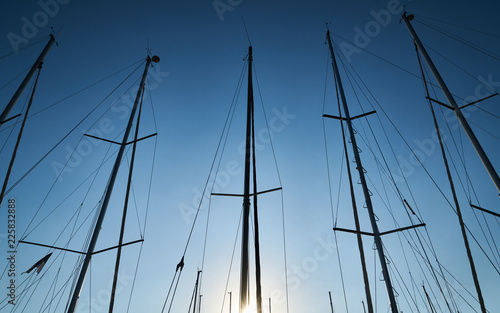 Sailboat poles at marina