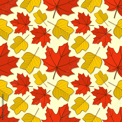 Seamless pattern with maple and tulip poplar autumn leaves. Vector illustration.