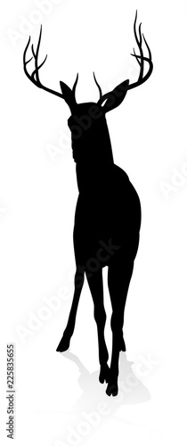 High quality animal silhoue...