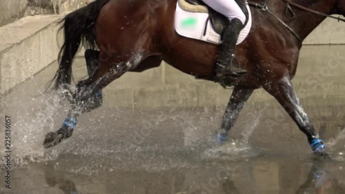 Rider with horse crossing water. Slow motion
