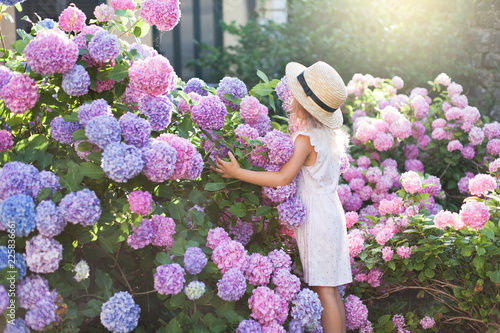 Konstfotografi Little girl in bushes of hydrangea flowers in sunset garden