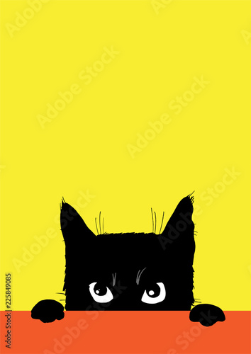 The angry black cat