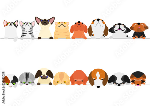 cute dogs and cats looking up and down border set