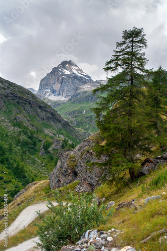 Alpine landscape with big snowly mountain