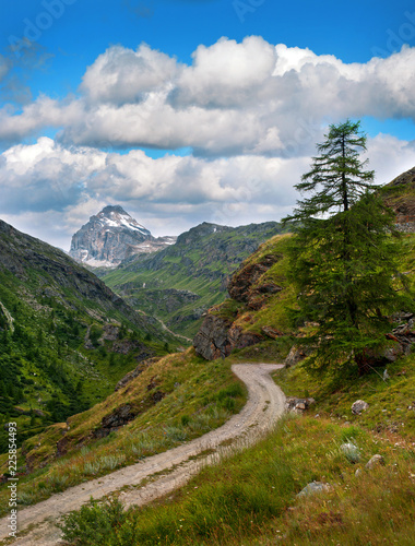 Alpine landscape with big snowly mountain and road