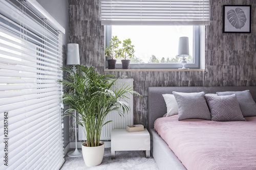 Real photo of a grey bedroom interior with a bed, pillows, big plant and window blinds photo