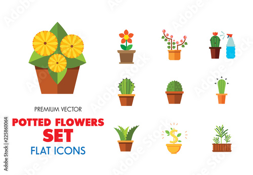 Potted Flowers Icon Set. Money Tree Cactus In Pot Cactus And Spray Bottle Plant Blooming Flower Chinese Peach Tree Cactus Red Flower Cactus In Flower Pot Tree In Pot Aloe Vera