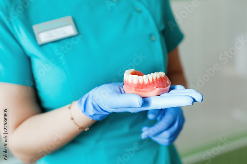 Young female dentist holding a teeth denture
