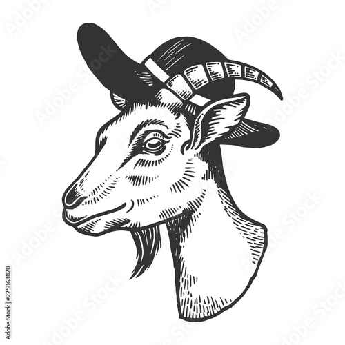 Goat inbroad brim hat engraving vector illustration. Scratch board style imitation. Black and white hand drawn image.