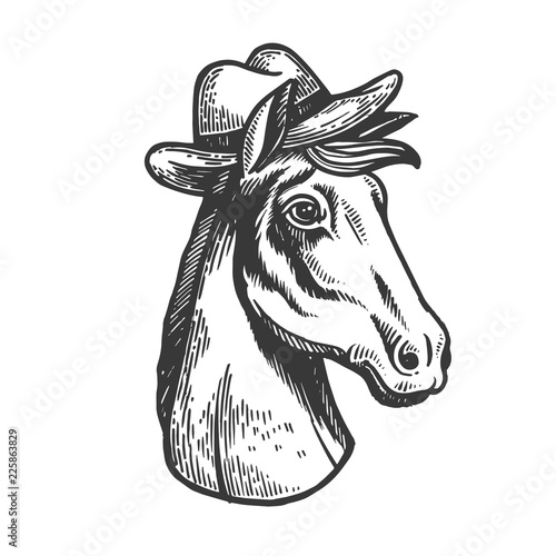 Horse in cowboy hat engraving vector illustration. Scratch board style imitation. Black and white hand drawn image.