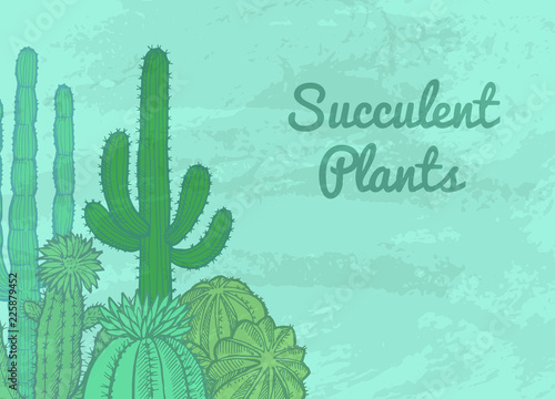 Vector hand drawn wild cacti plants background with place for text illustration