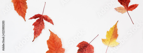 Golden Autumn border made of orange red yellow leaves on white background, copy space. Flat lay, top view. banner