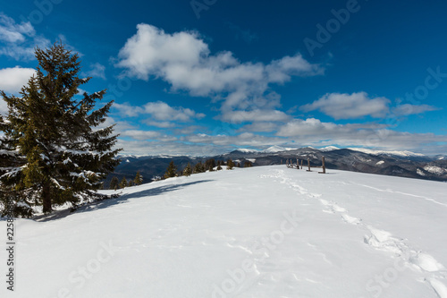 Winter snowy Carpathian mountains, Ukraine photo