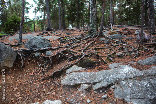 Stockholm,Lidingo nature views photo