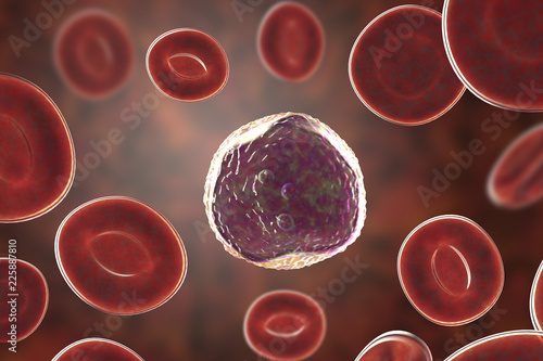 Lymphoblast, an immature white blood cell, surrounded by red blood cells, 3D illustration