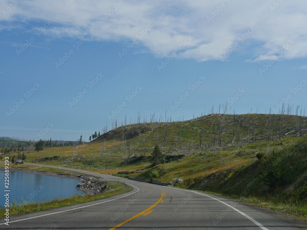 Slope with leftover damaged trees from wild fires at the Yellowstone National Park. Slope with leftover damaged trees from wild fires at the Yellowstone National Park.