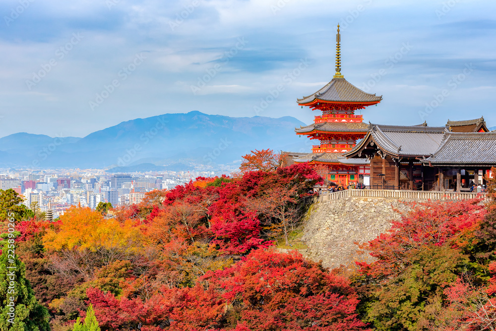 Fototapeta premium Kolor jesieni w świątyni Kiyomizu-dera w Kioto w Japonii