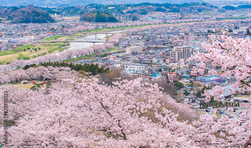 Sakura or Cherry blossom at Funaoka castle ruin park in Miyagi Sendai with canal and town . Funaoka castle ruin park is Japan's Top 100 Cherry Blossom Spots that is not far from Tokyo.