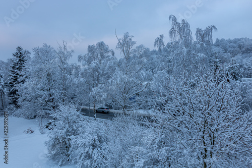 Streed covered by new snow during late time at day