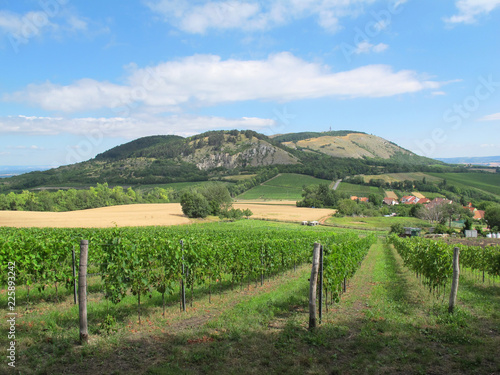 Palava hills, beautiful Moravian landscape. South Moravia (Czech Republic) photo