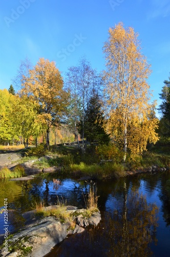 Koiteli rapids Kiiminki river in autumn. Finnish fall, Oulu Finland. Beautiful autumn colors and bright blue water. 