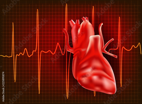Realistic illustration of a line with the ECG pulse heartbeat. Vector illustration.