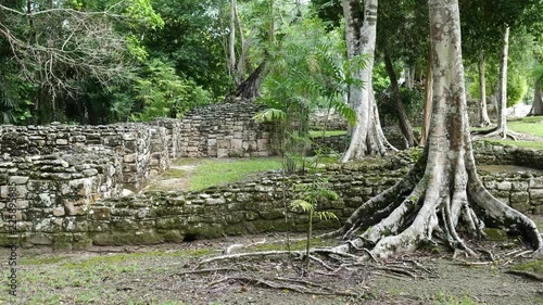 The ruins of the ancient Mayan city of Kohunlich photo