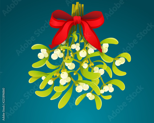 Christmas branch of mistletoe with red bow isolated on blue background. Vector illustration.