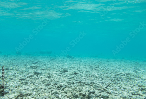 Dead corals on a beach in shallow water