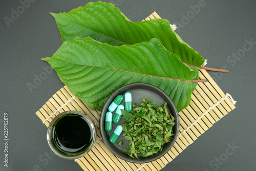 Mitragynina speciosa or Kratom photo